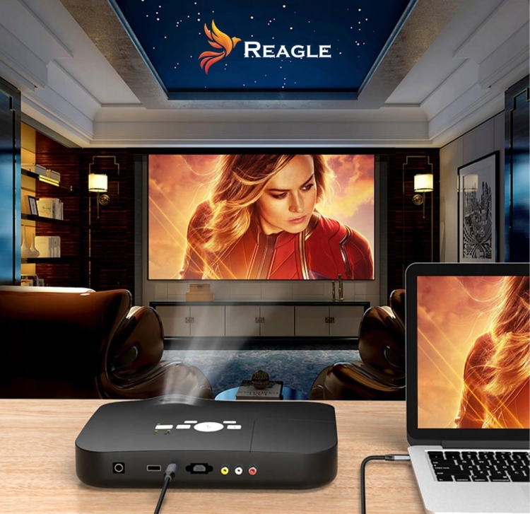 Zbliżenie wtyków USB-C i mini DP na kablu Reagle