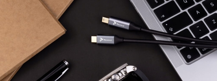 Kabel Reagle USB-C do Mini DisplayPort RCMD100P w akcesoriach komputerowych