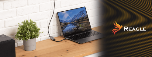 Adapter Reagle RYCD5 USB-C auf DisplayPort 4K 60Hz mit Aluminiumgehäuse