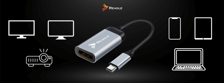 Reagle RYCD5 USB-C-Adapter auf DisplayPort für MacBook, Dell, HP, Samsung