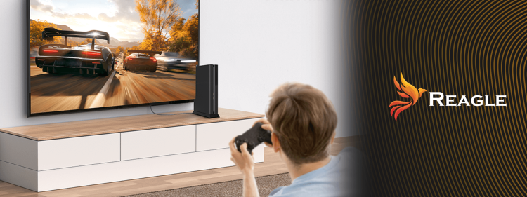 Reagle Kabel HDMI 2.1 szary 10 metrów – gamingowy przewód do dużych ekranów, 4K 120Hz i 8K UHD