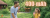 7902a0516a25db44eb572cbea5e04381.png