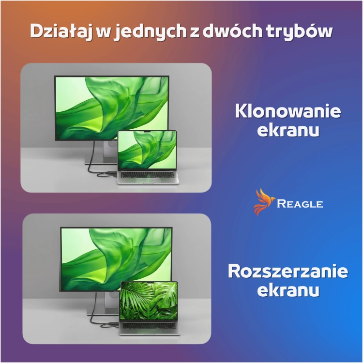 5a-PL.png